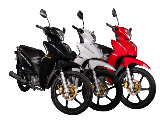 Avelloz consolida‑se no Brasil com crescimento expressivo e novos modelos